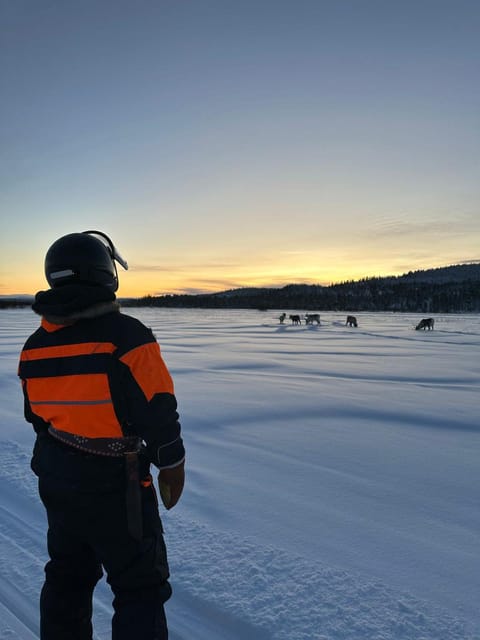 Saariselkä: Ice Fishing Tour to Lake Inari, reindeers& lunch - When you should book (and when you should skip)