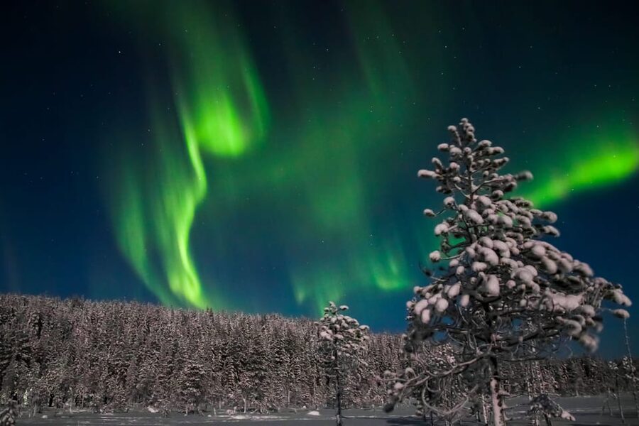 Saariselkä: Northern Lights Hunting Snowshoe Trip - Quick takeaways