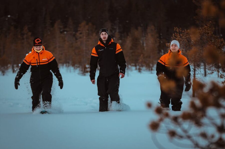 Saariselkä: Northern Lights Hunting Snowshoe Trip - Price and value: what $111 really covers in Saariselkä