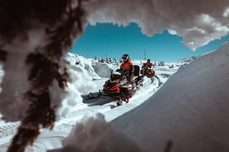 Saariselkä: One Hour Snowmobile Safari - Key Highlights You’ll Care About