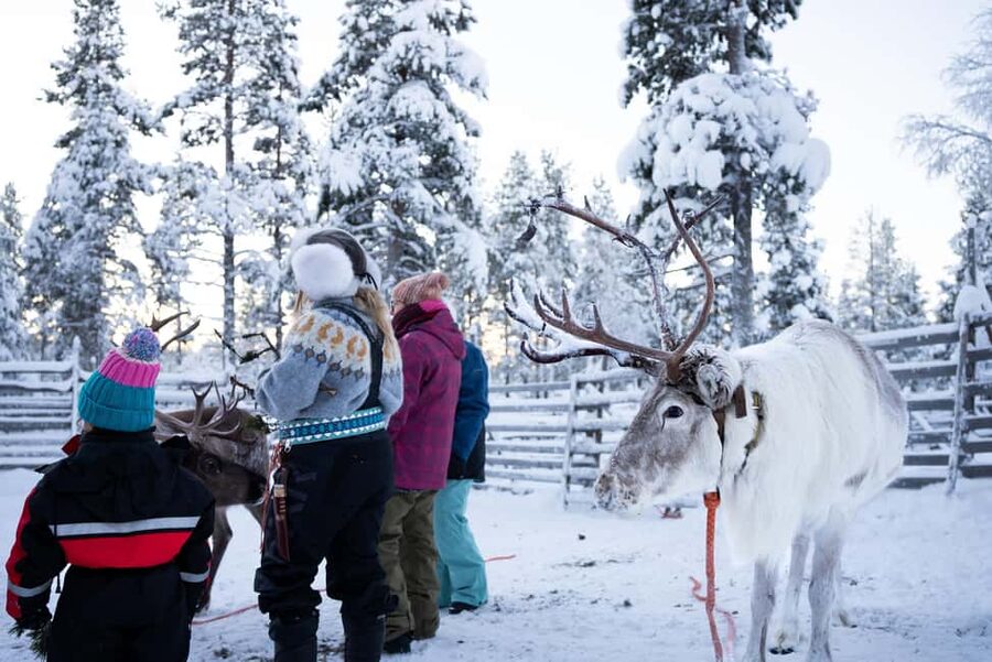 Saariselkä: Reindeer Farm Experience with Snack and Drinks - Where the Kuukkeli Reindeer Farm Fits Into Saariselkä Plans