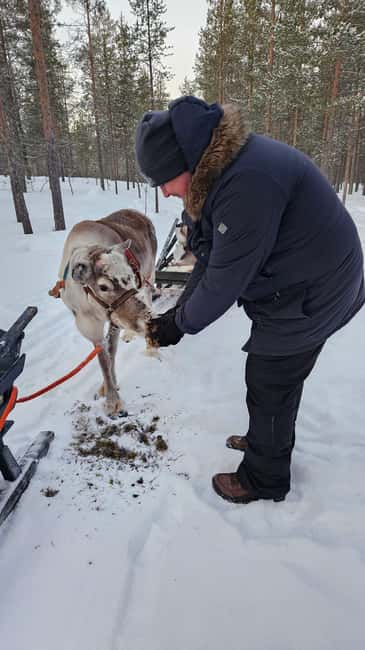 Saariselkä : Reindeer Sleigh Ride with Snacks & Hot Drink - Key things I’d put on your must-know list