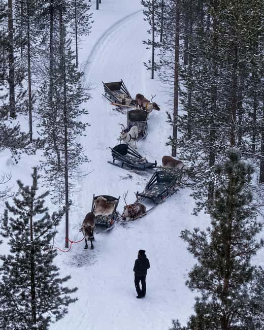 Saariselkä : Reindeer Sleigh Ride with Snacks & Hot Drink - Van ride: short transfer, then you’re out in the quiet