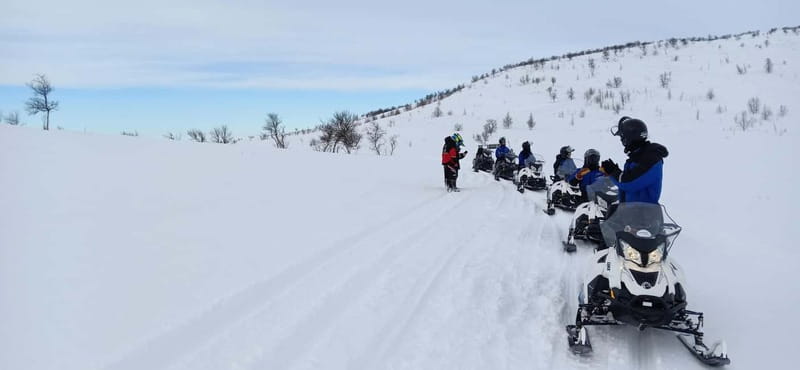 Saariselka: Snowmobile Safari on Tundra with BBQ - Value and price, why $175 can make sense here