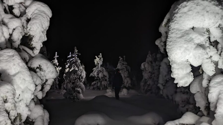 Saariselkä: Snowshoeing Tour in Urho Kekkonen National Park - Off-trail route choices: why your tour length matters