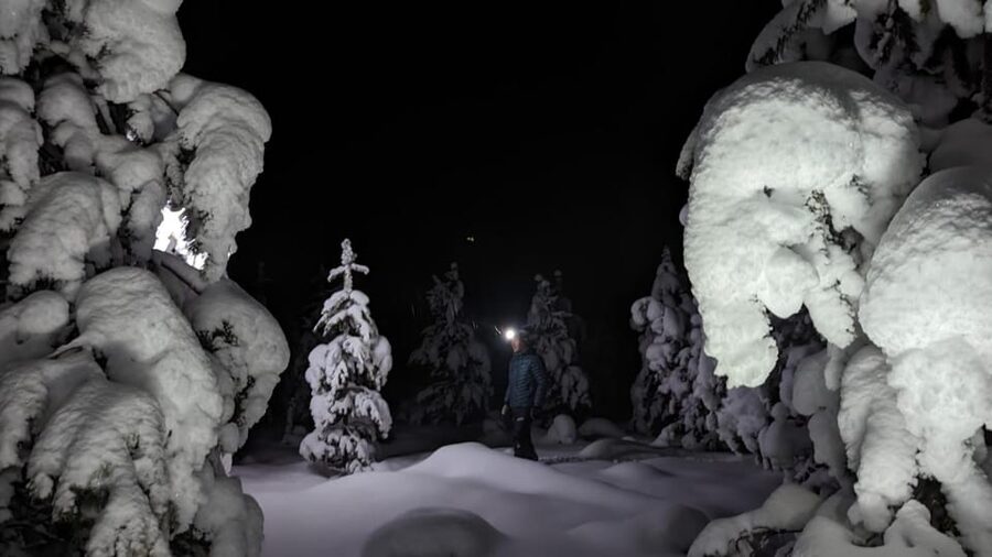 Saariselkä: Snowshoeing Tour in Urho Kekkonen National Park - Equipment and clothing: what you should pack