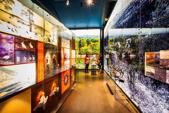 Sámi Village Inari and Siida Museum by Car - Key things I’d bank on before you go