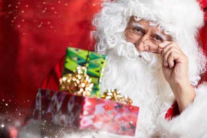 Santa Claus Village Guided Tour & Arctic Animals Adventure - Key things that make this tour worth your morning