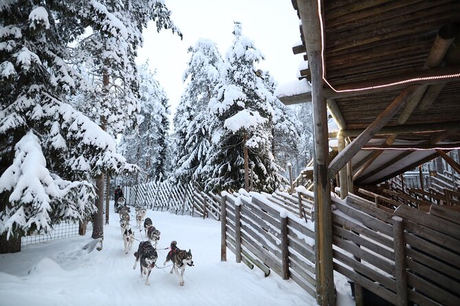 Santa Claus Village, Husky and Reindeers Combo Safari - Key things to know before you go