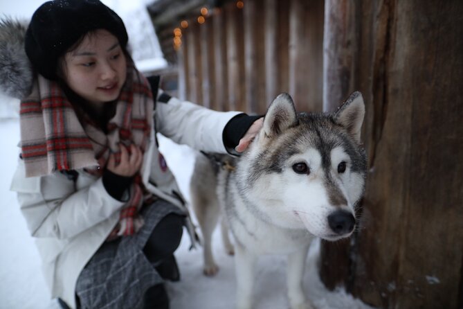 Santa Claus Village, Husky and Reindeers Combo Safari - Timing and group size: why 4 hours can feel tight
