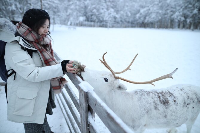 Santa Claus Village, Husky and Reindeers Combo Safari - Santa Claus Village, Arctic Circle crossing, and the line reality