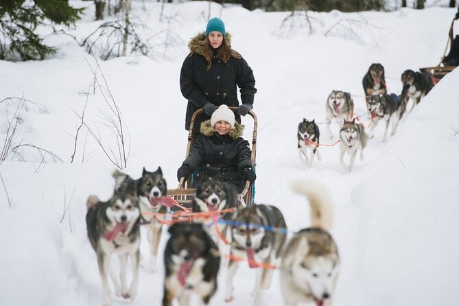 Santa's Reindeer & Husky Safari + Aurora BBQ in Rovaniemi - Evening pickup at 20:00 and the two aurora hunting spots