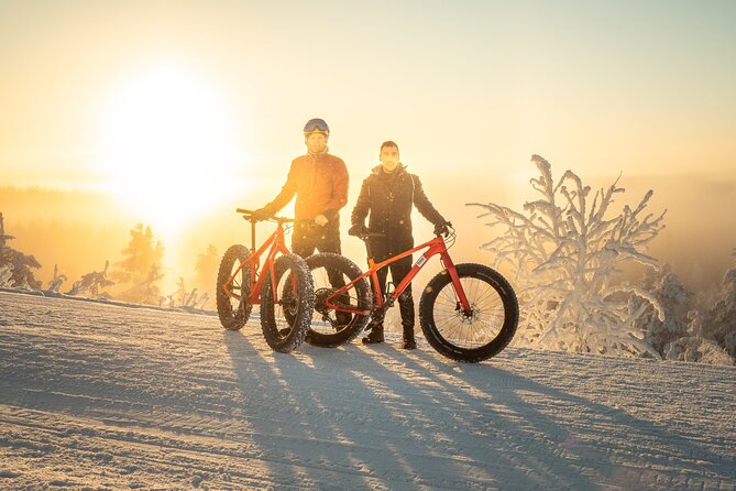 Scenic electric fat bike group ride in Rovaniemi - Key highlights worth knowing