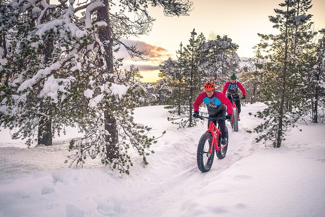 Scenic electric fat bike group ride in Rovaniemi - Ride to Kemijoki and the Lumberjack’s Candle Bridge