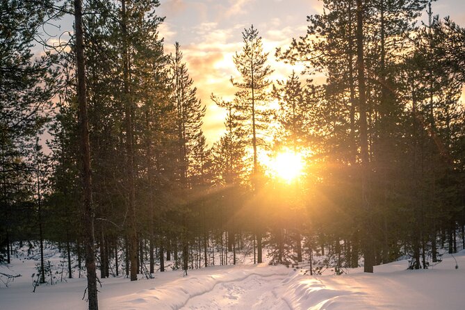 Scenic electric fat bike group ride in Rovaniemi - Ounasvaara Winter Trail: guided routes for all abilities