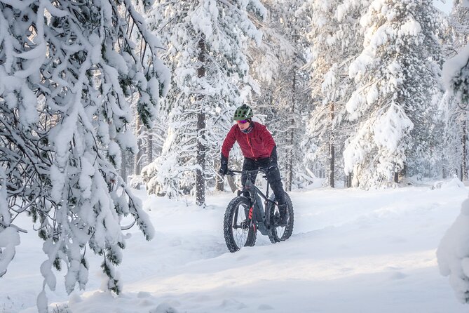 Scenic electric fat bike group ride in Rovaniemi - Tottorakka lift station views: work a little, get the payoff