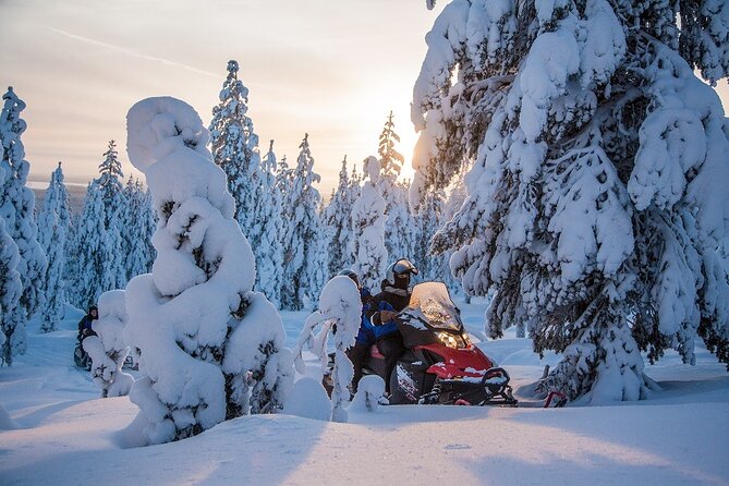 Scenic Snowmobile Safari in Saariselkä - The midpoint stop: hot drinks, silence, and photos that actually come out