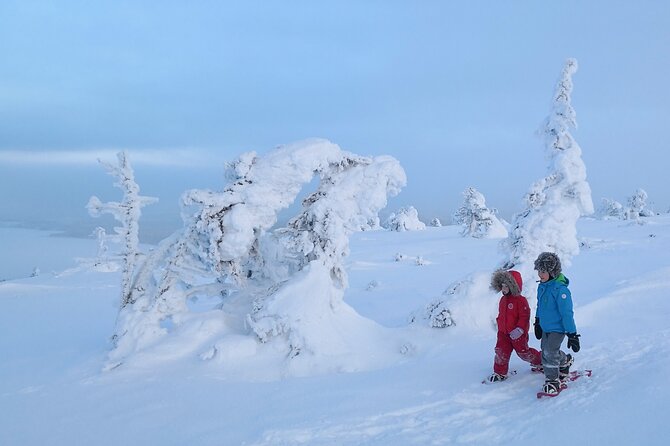 Scenic Snowshoeing on the Top of Pyhä Fell - How Long It Takes and What Pace to Expect (2.5 Hours)