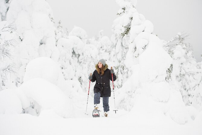 Scenic Snowshoeing on the Top of Pyhä Fell - What’s Included, and Why That Matters for Value