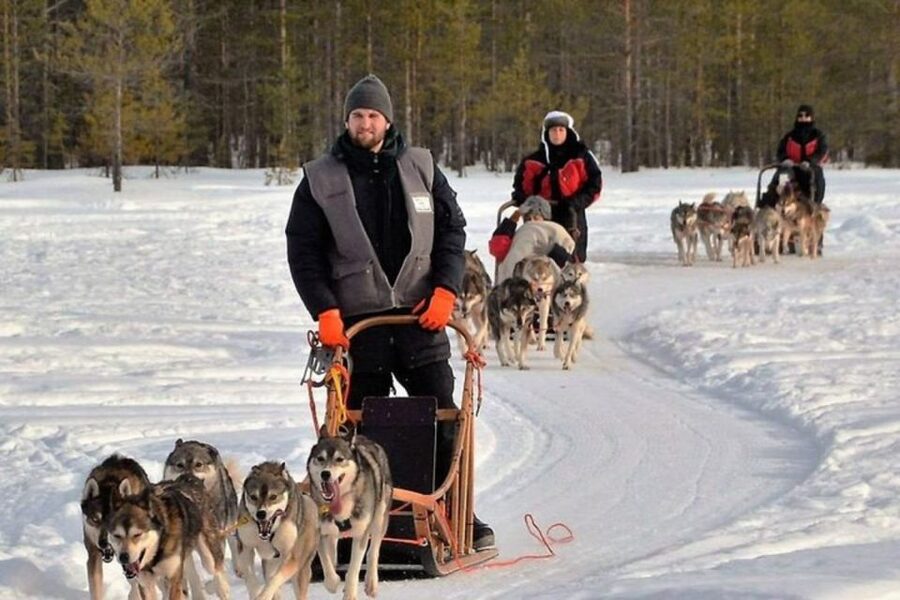 Sirkka: Husky Sled Ride in Levi 2km or 5 km from Levi - Price and value at around $199 per person