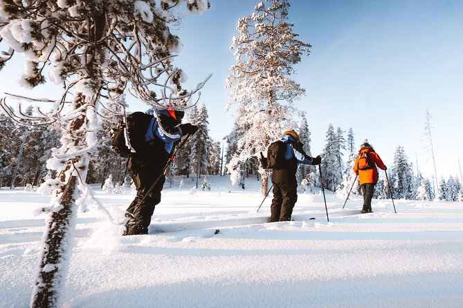 Ski Trekking Safari in Lapland - Private transfers and an uncrowded feeling in the snow