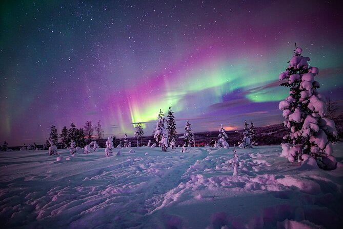 Ski Trekking under the Northern Lights - Key highlights to look for