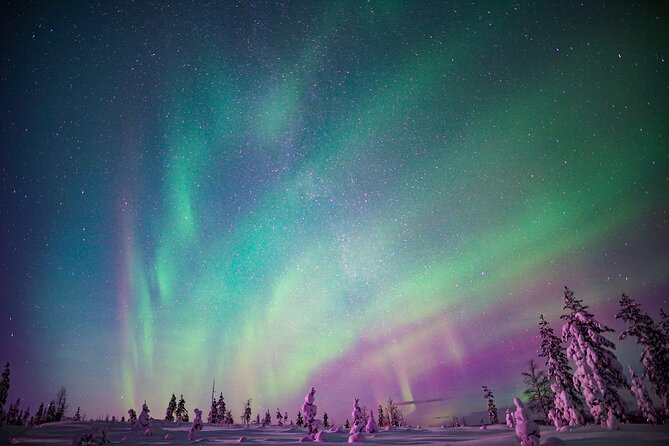 Ski Trekking under the Northern Lights - Your first track in deep snow: what skiing feels like