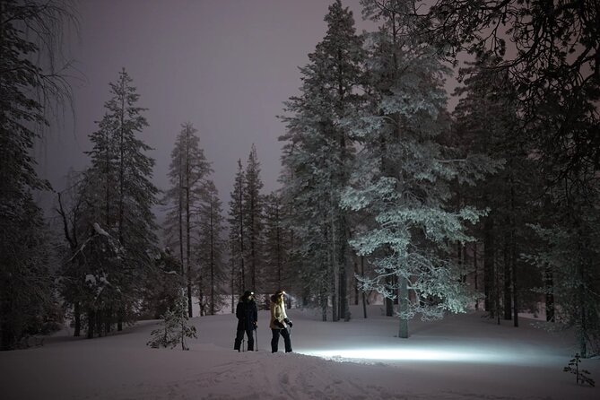 Ski Trekking under the Northern Lights - Guides who keep it safe and keep it moving