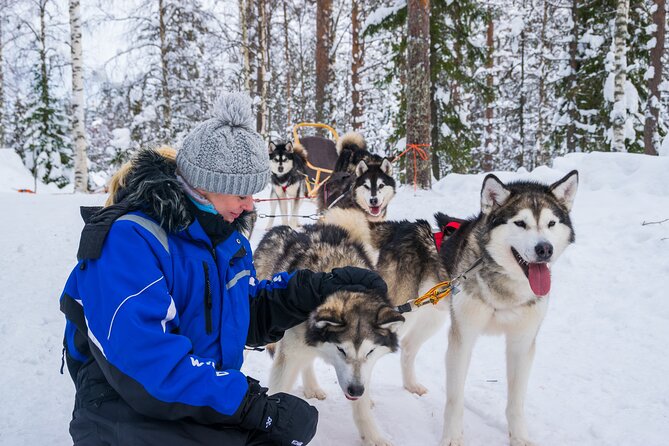 Small-Group Husky Mushing Experience in Rovaniemi - Why steering huskies in Rovaniemi feels different