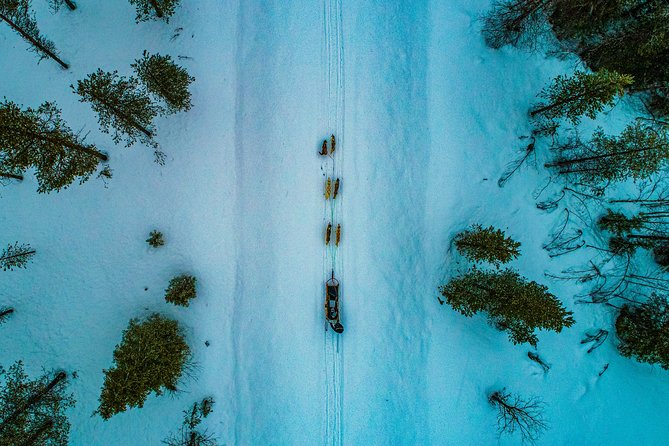 Small-Group Husky Mushing Experience in Rovaniemi - Pricing and value: why $277.05 can make sense