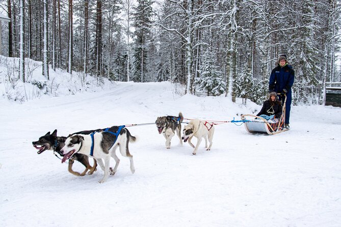 Small-Group Husky Mushing Experience in Rovaniemi - Parpalandia pickup and the real timing behind the 4.5 hours