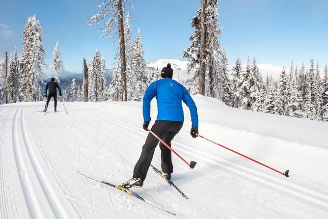 Small-Group Lapland Cross Country Ski - Cross-country skiing in Rovaniemi: a true winter activity