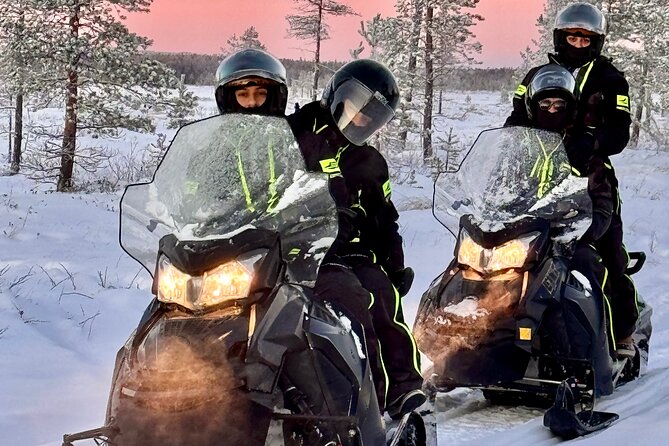 Small Group: Snowmobile Safari from Riverside Lodge 3h - Why This Snowmobile Safari Feels Remote From the Start