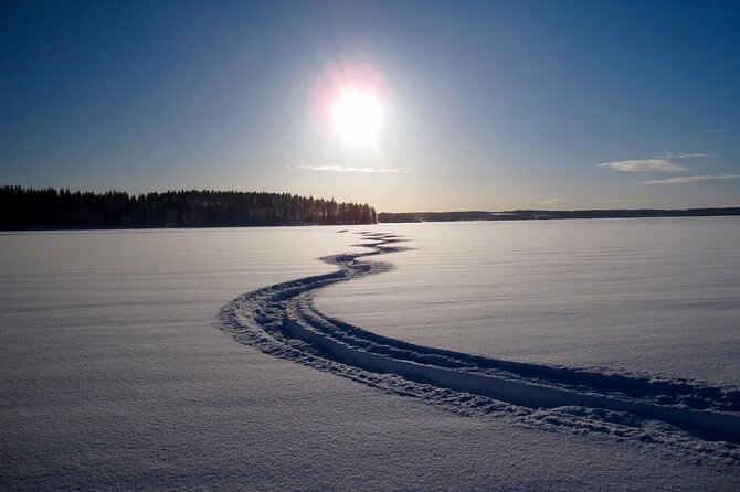Small Group: Snowmobile Safari from Riverside Lodge 3h - Who This Tour Suits Best (and Who Might Want to Think Twice)