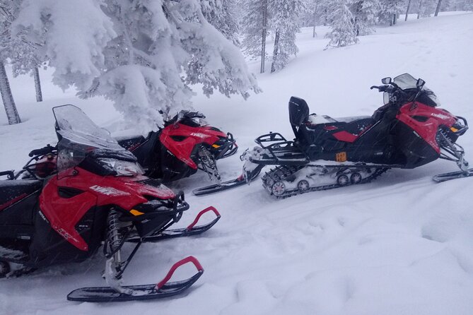 Snowmobile and Ice Fishing Excursion (private tour) - Pickup, Timing, and What a 4-Hour Schedule Feels Like