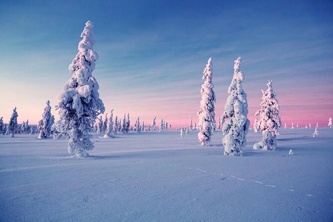 Snowmobile and Ice Fishing Experience - Bonfire Warmth, BBQ, and Salmon: Eating Is Half the Experience