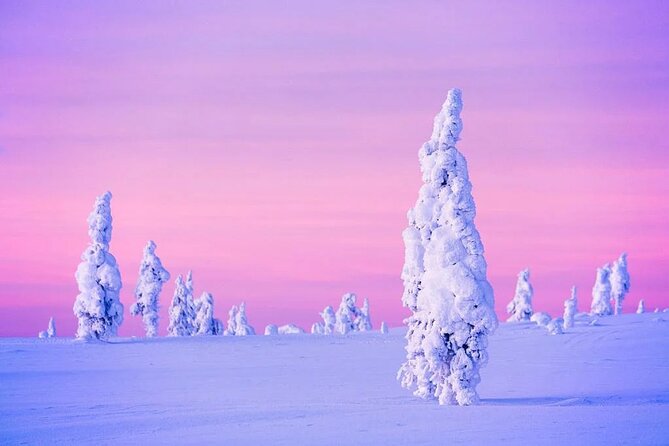 Snowmobile and Ice Fishing Experience - FAQ