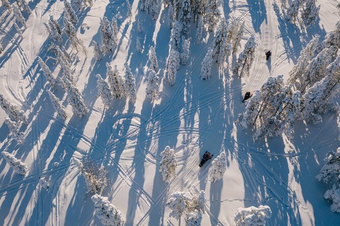 Snowmobile & Animals Day Tour - Key things I’d bet on before you book