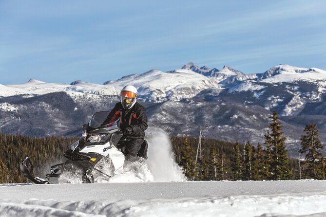 Snowmobile & Animals Day Tour - Gear, driving rules, and the practical stuff you should know