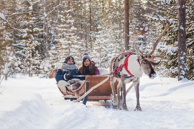 Snowmobile & Animals Day Tour - Guides make or break the experience, and this tour leans on strong hosting