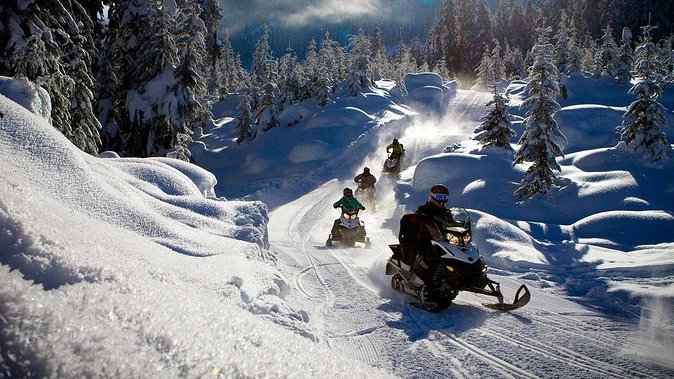 Snowmobile & Animals Day Tour - Pickup timing, meeting point, and how to avoid cold-weather waiting