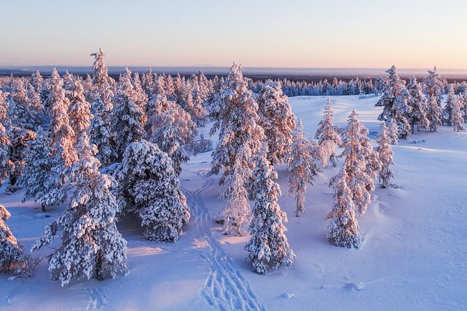 Snowmobile Driving - Morning start - Value and price, what you’re really paying for