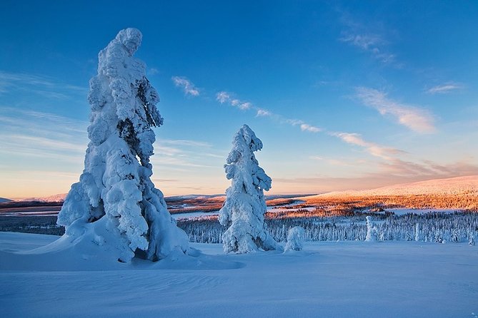 Snowmobile Driving - Morning start - Group size, weather dependence, and how to plan your morning