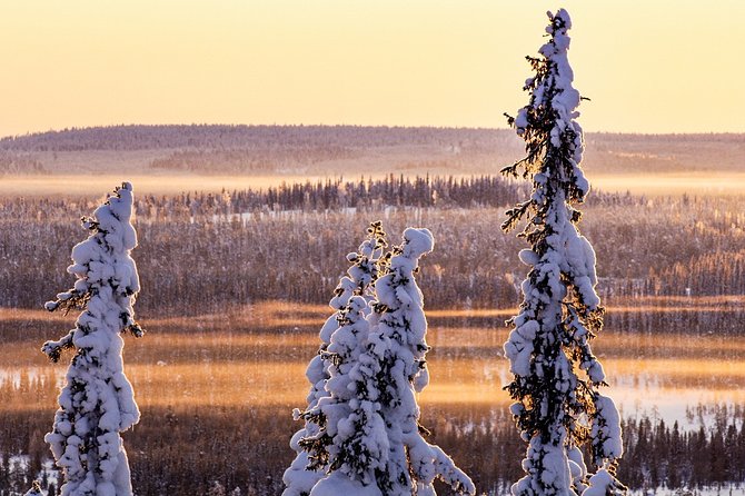 Snowmobile Driving - Morning start - Snowmobile driving, coached for beginners and paced for comfort