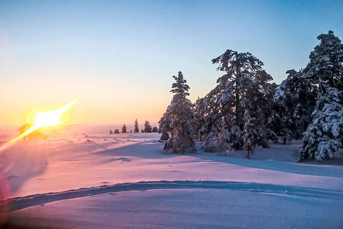 Snowmobile Safari in the Nature - Free-time moments, hot drinks, and fire-side warmth