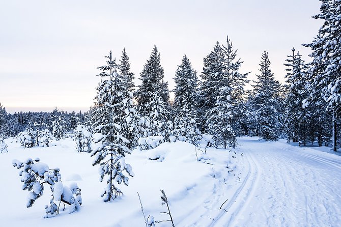 Snowmobile Safari in the Nature - Price and value: is $183.72 money well spent?