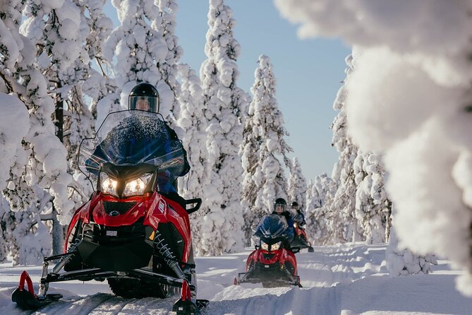 Snowmobile Safari into the Arctic Circle Forest - Key highlights to know before you go