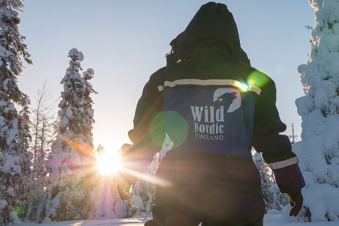 Snowmobile Safari into the Arctic Circle Forest - What you actually get on the tour, and what you need to bring