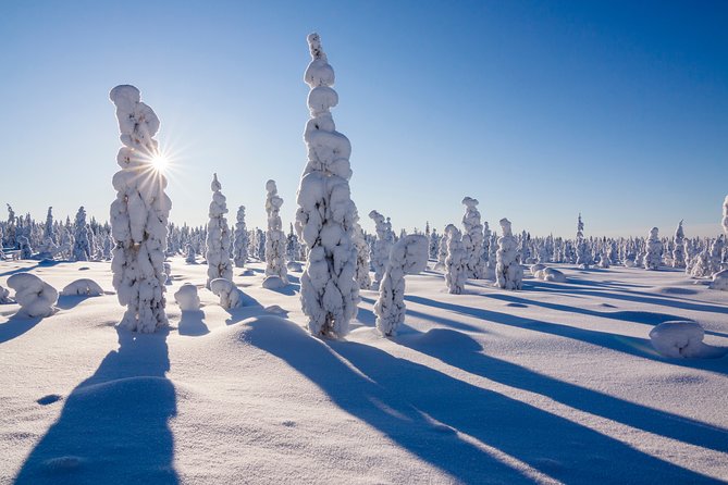 Snowmobile Safari on the Tundra - Should you book this snowmobile safari on the tundra?