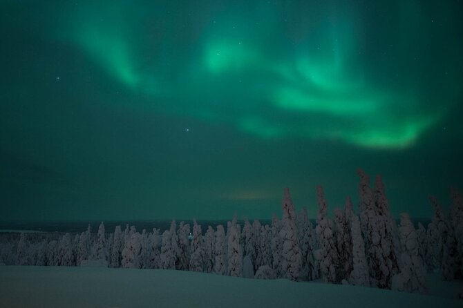 Snowmobile Safari to Search for the Northern Lights - Wild Nordic Safari Center, the meeting point that anchors the night